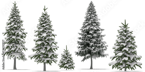 Fotografiet needle tree conifer pine tree winter snow 4