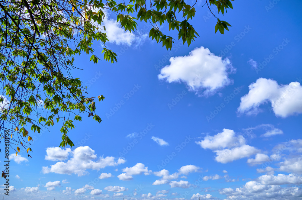 Sky and clouds with horizon and lake with tree against sky Sky and clouds with horizon and lake with tree against sky