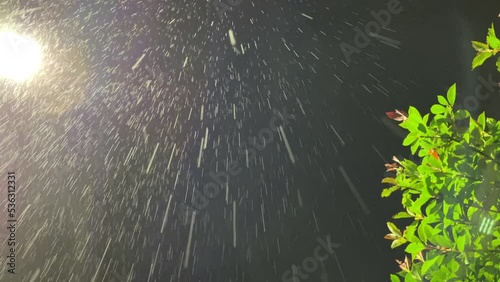 夜に降りしきる雨　街灯の光　スロー撮影 photo