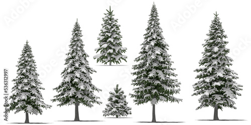 Canvastavla needle tree conifer pine tree winter snow 5
