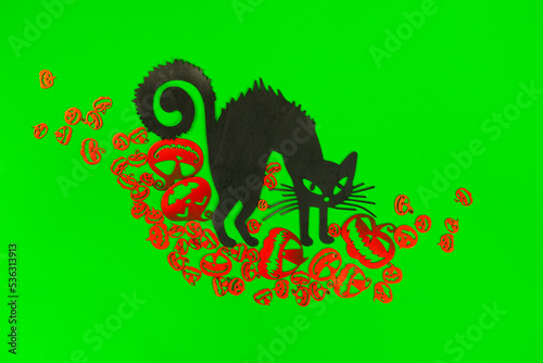 Halloween Pumpkins and Black cat on the green screen background. photo