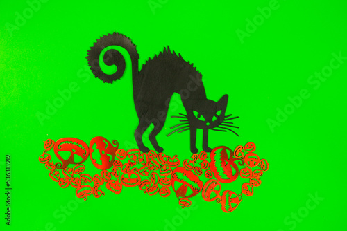 Halloween Pumpkins and Black cat on the green screen background. photo