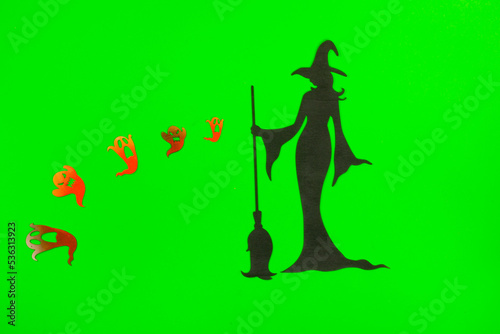 Halloween Witch on the green screen background.
