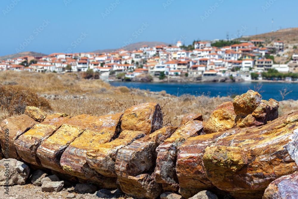 Petrified tree trunk at the Petrified Forest of Lesvos island, near Sigri village, Greece. The forest