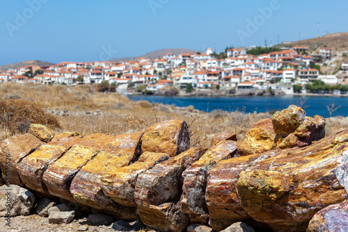 Petrified tree trunk at the Petrified Forest of Lesvos island, near Sigri village, Greece. The forest is part of the Global Geoparks Network and 1 of the first 100 World Geology Monuments.  photo