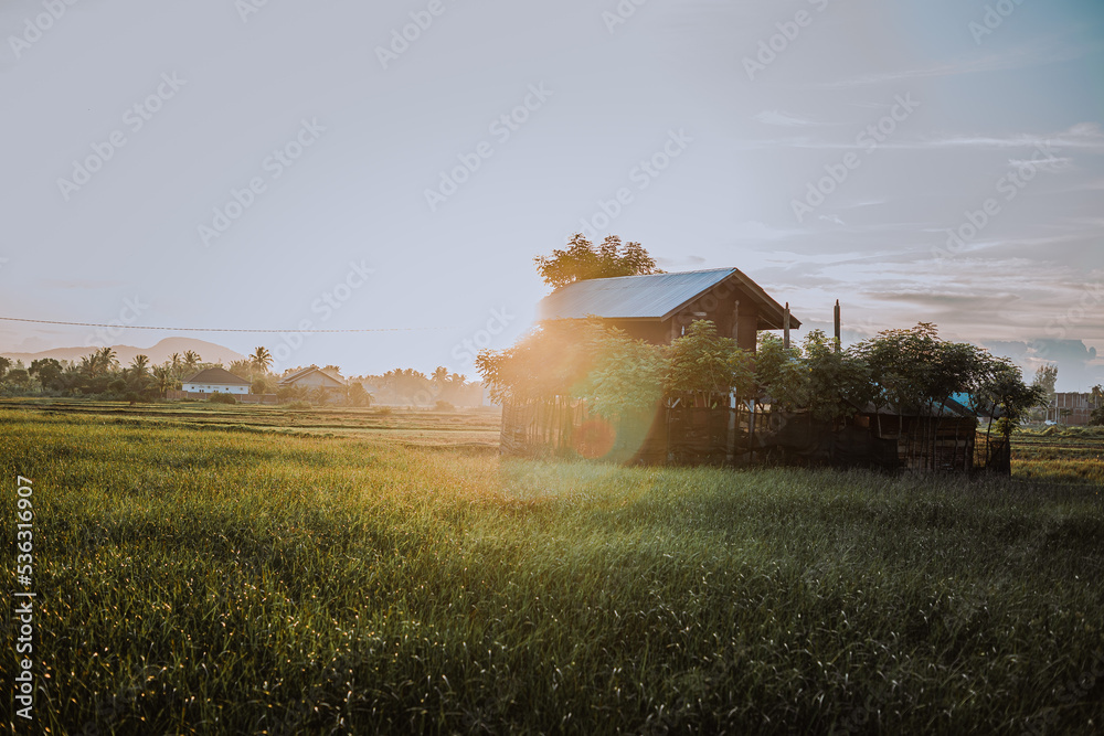 Fototapeta premium old farm house