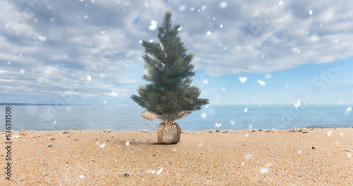 Kleiner Weihnachtsbaum am Strand mit Schneeflocken