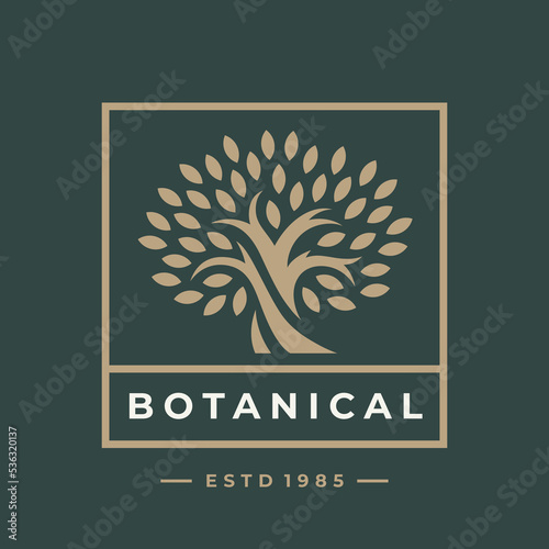 Canvas Print Botanical tree logo