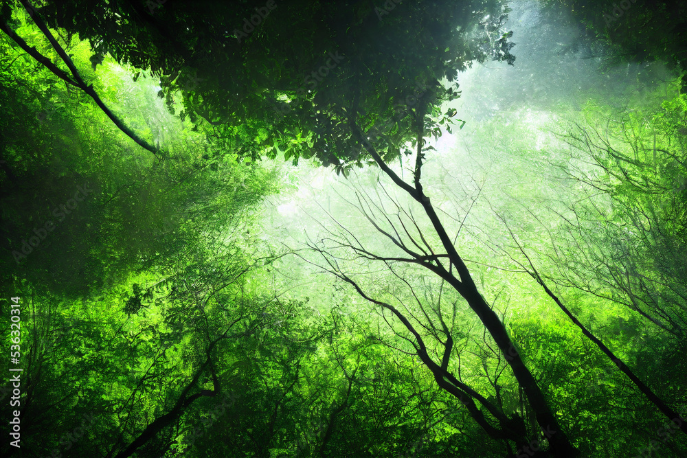 Fototapeta premium sun shining through the forest