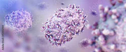 Detailed illustration of a monkeypox virus, few cells under a microscope, banner with empty space, 3d render.
