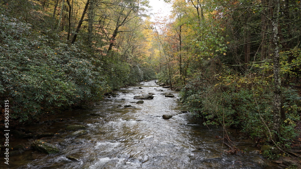 Fototapeta premium Mountain Creek in NC