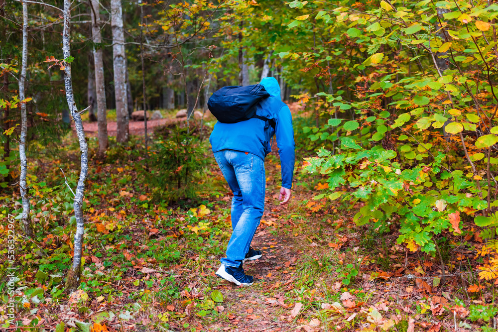 The man wearing denim jeans, blue hooded sweatshirt,backpack hiker goes deep into the autumn forest. The man wearing denim jeans, blue hooded sweatshirt,backpack hiker goes deep into the autumn forest.