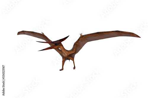 Pteranodon dinosaur walking with wings spread. 3D illustration isolated. © IG Digital Arts