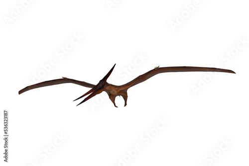 Pteranodon dinosaur flying and looking down for prey. 3D illustration isolated. © IG Digital Arts