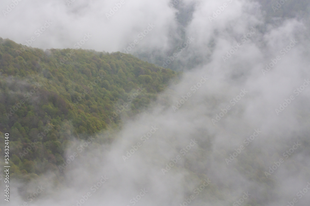 Spring green mountains in clouds and fog. The concept is to be above the clouds.