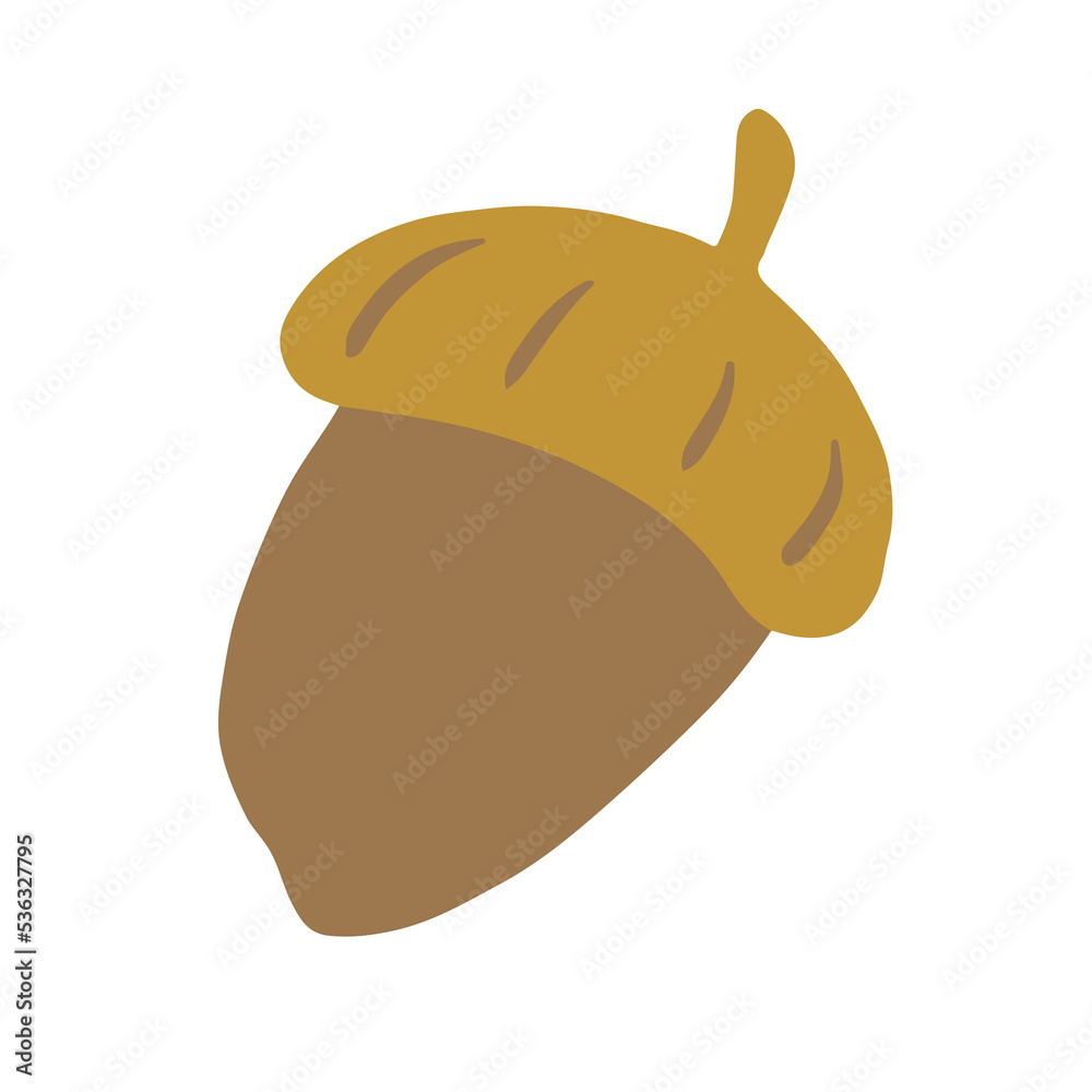 Autumn element nature element acorn.Autumn acorn.Fall clipart, nature element, fall season elements Autumn element nature element acorn.Autumn acorn.Fall clipart, nature element, fall season elements
