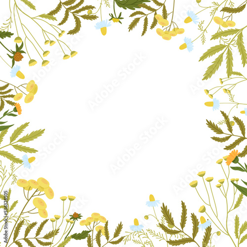 Square floral frame with space in the center. Wild field graceful herbs.