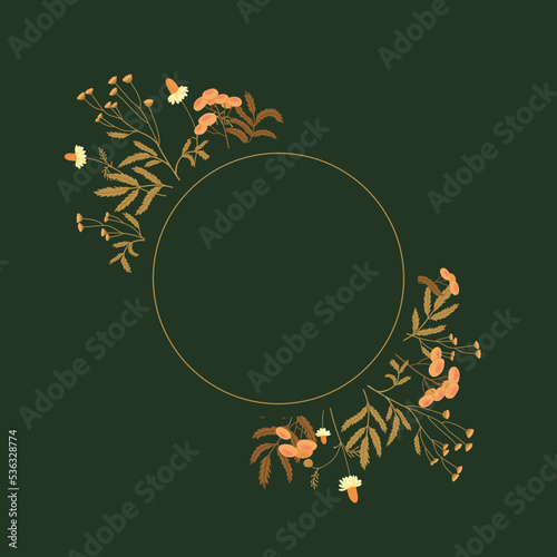 Round frame with floral border, floral design from autumn wild herbs. Chamomile, tansy