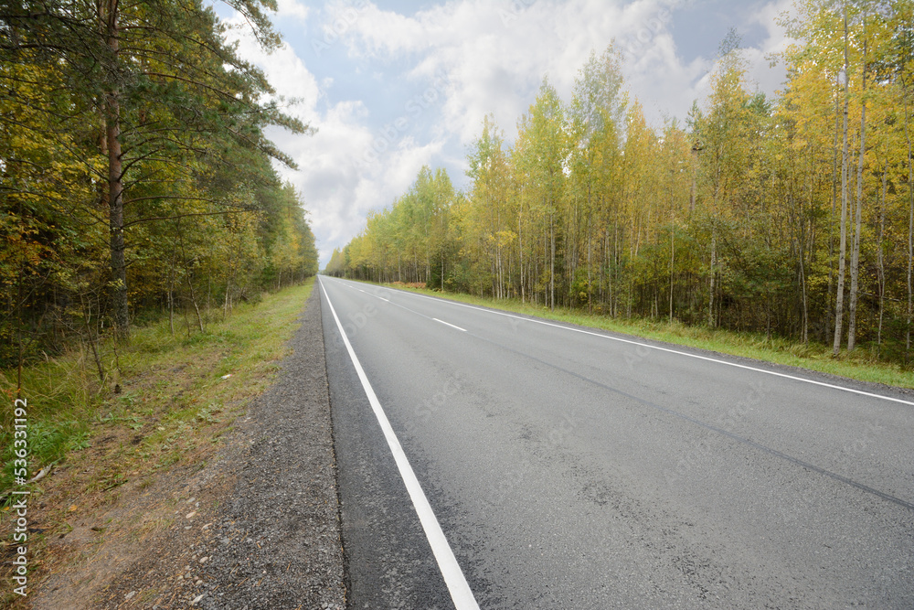 Highway in the forest going into the distance. With road markings Highway in the forest going into the distance. With road markings
