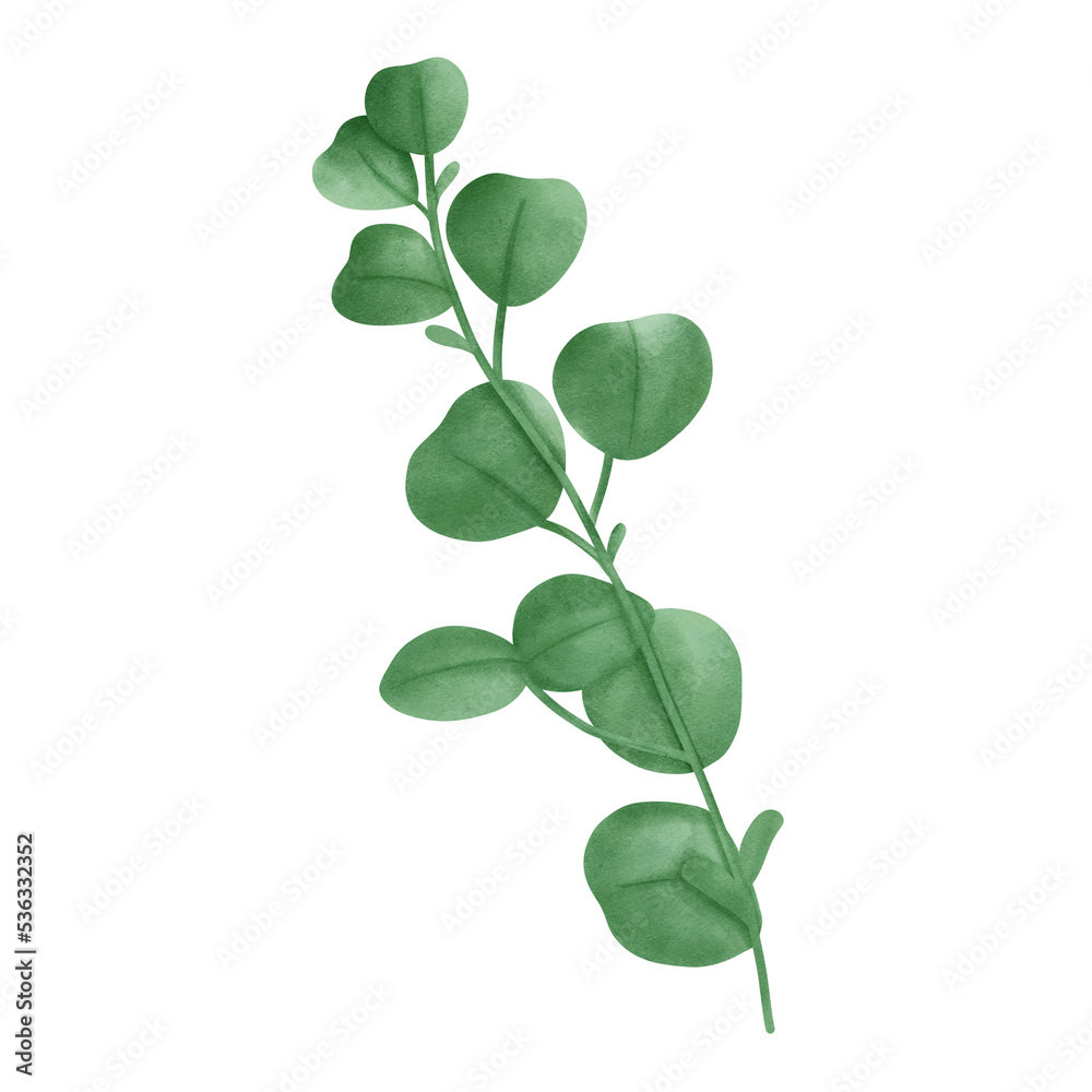 leaf leaf