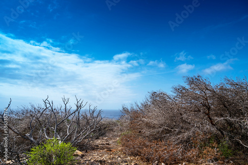 wild landscape in Lampedusa island