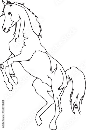 Hand drawn vector illustration of a horse