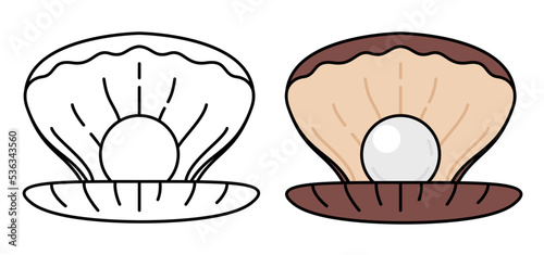 Set of two oysters with pearls in flat style, Vector illustration