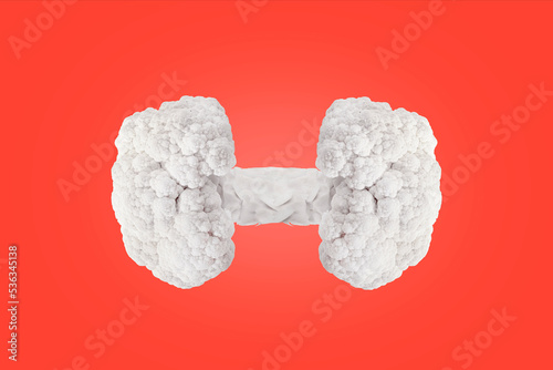 Cauliflower dumbbell. Vegetable cuisine gives power. Vegan and vegetarian. Modern food concept. Great idea for advertising and margeting. Place for text. photo