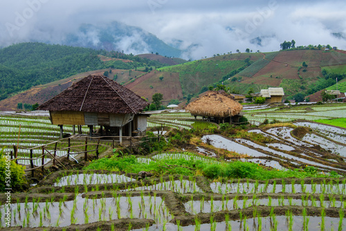 Traditional homestay in the middle of the rice fields on terraced of Ban Pa Bong Piang in Chiangmai, Thailand photo