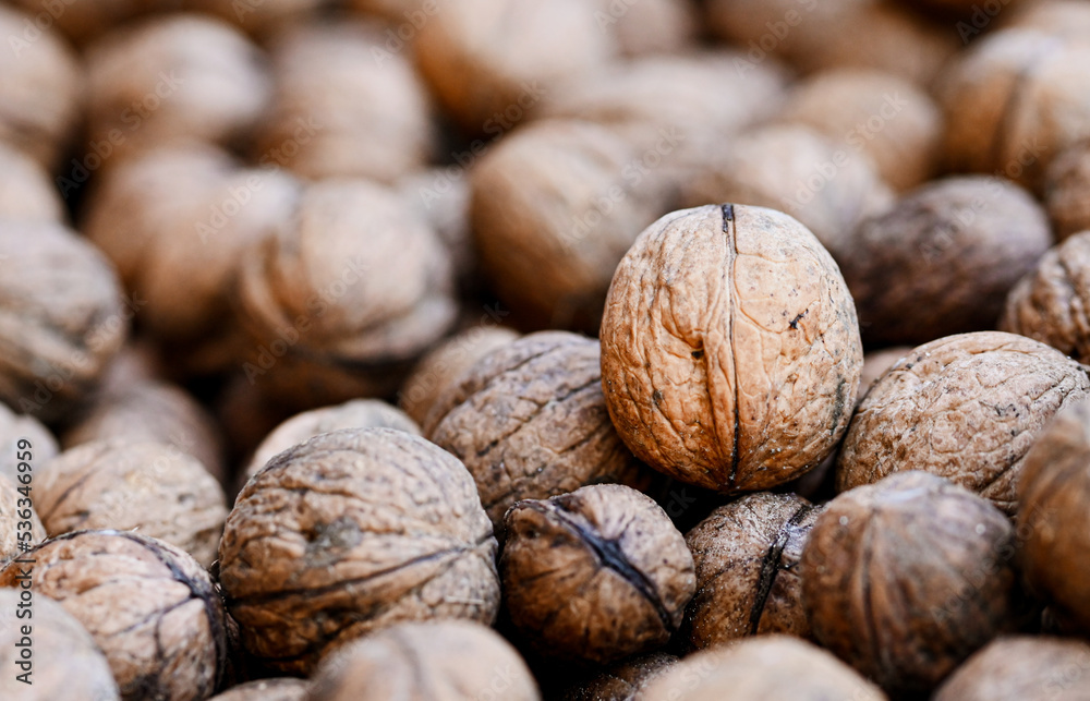 Beautiful close-up of a walnut Beautiful close-up of a walnut