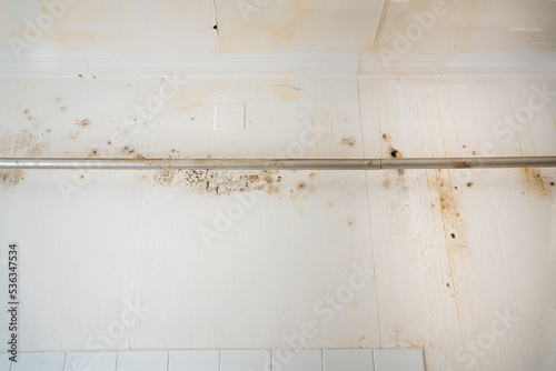 View of a wall and pipe with water seeping into the wall causing damage and peeling paint