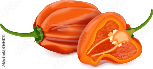 Whole and half of orange habanero chili peppers. Capsicum chinense. Heat chili pepper. Fresh organic vegetables. Vector illustration isolated on white background. photo