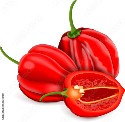Whole and half of Red habanero chili peppers. Capsicum chinense. Heat chili pepper. Fresh organic vegetables. Vector illustration isolated on white background.