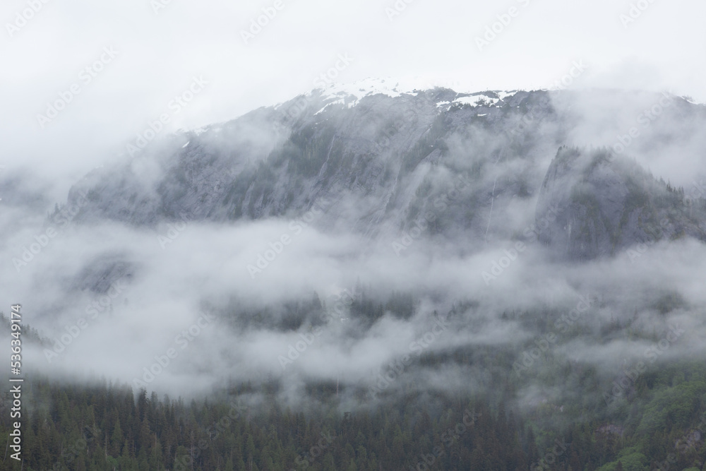 Clouds and fog hanging in the forest canopy of the coastal temperate rainforest in South East Alaska