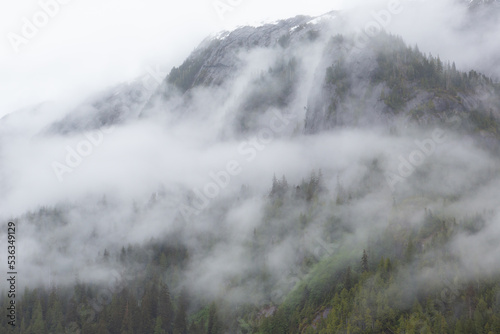 Clouds and fog hanging in the forest canopy of the coastal temperate rainforest in South East Alaska
