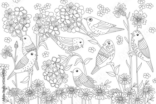 Coloring book with amusing birds perching on stems of flowers. B © Aloksa