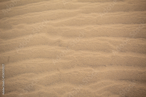 Textura de la arena de las dunas salvajes de la isla