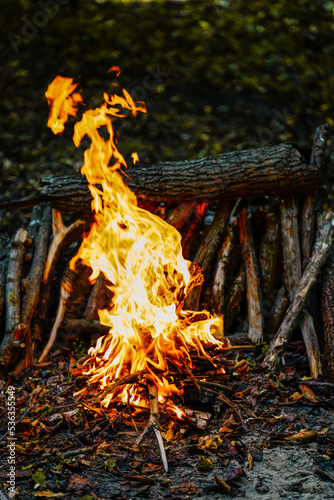 Bonfire in forest at sunset