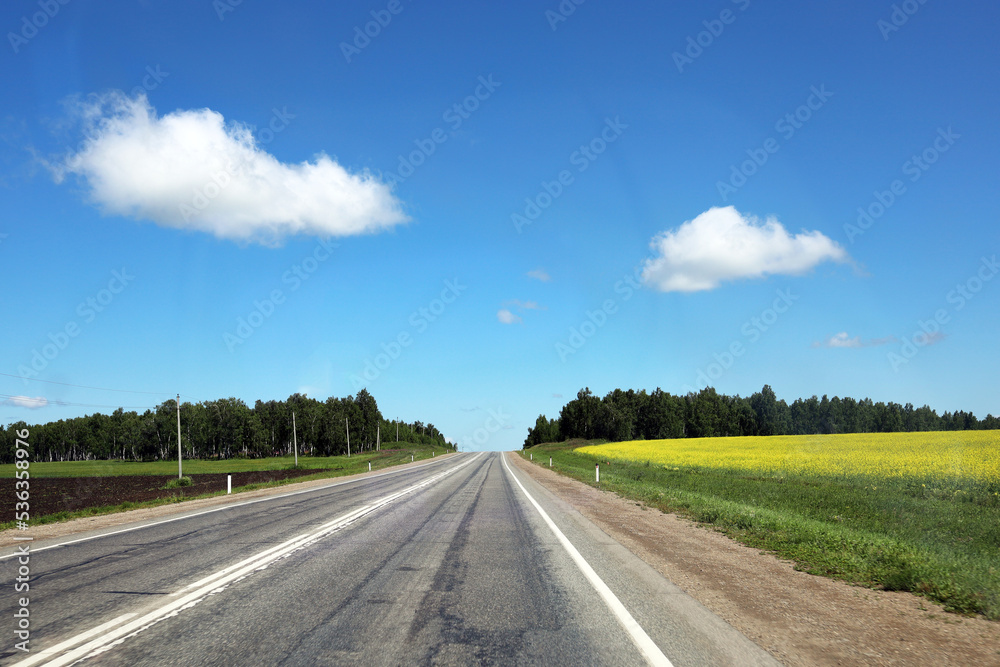Fototapeta premium Asphalt road going over the horizon on a sunny day