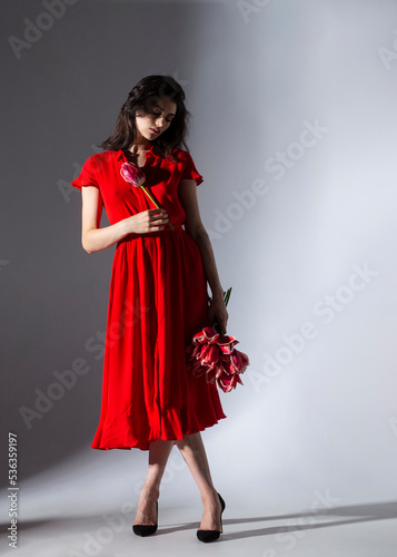 Elegant brunette woman in red dress holding a beautiful red tulips, isolated grey background.