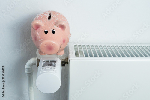Frierendes eingefrorenes Sparschwein auf ausgestelltem Heizkörper um Kosten zu sparen, horizontal, weißer Hintergrund 