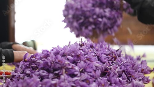 Saffron - Zafferano