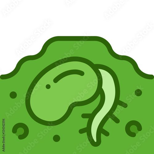 bean sprout two tone icon