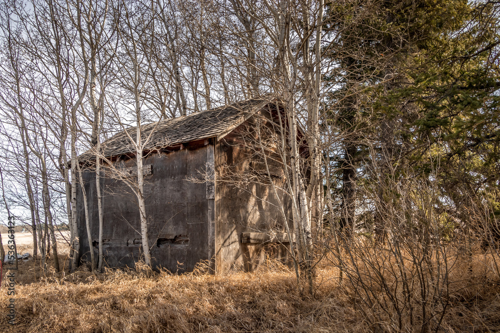 Rustic farm buildings stand in the Evarts Alberta Canada Rustic farm buildings stand in the Evarts Alberta Canada