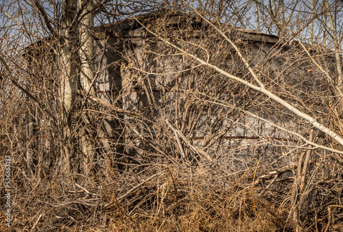 Rustic farm buildings stand in the Evarts Alberta Canada photo