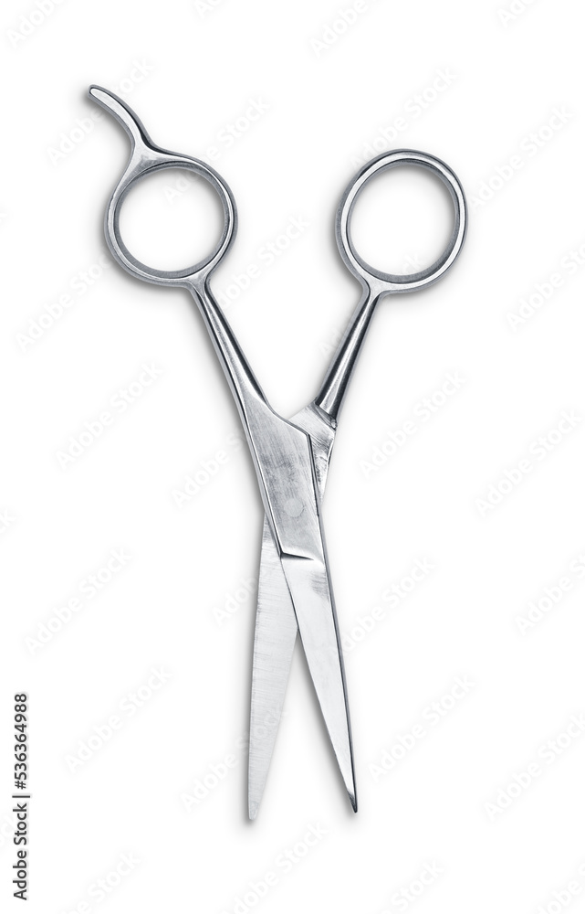 Scissors isolated Scissors isolated
