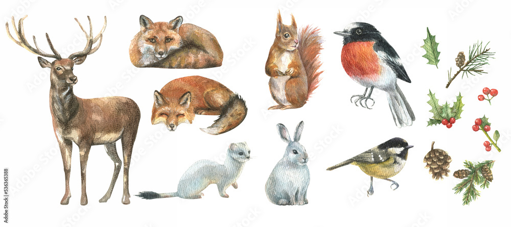 Φωτογραφία Hand drawn watercolor illustration, set of wild forest winter animals fox, deer,