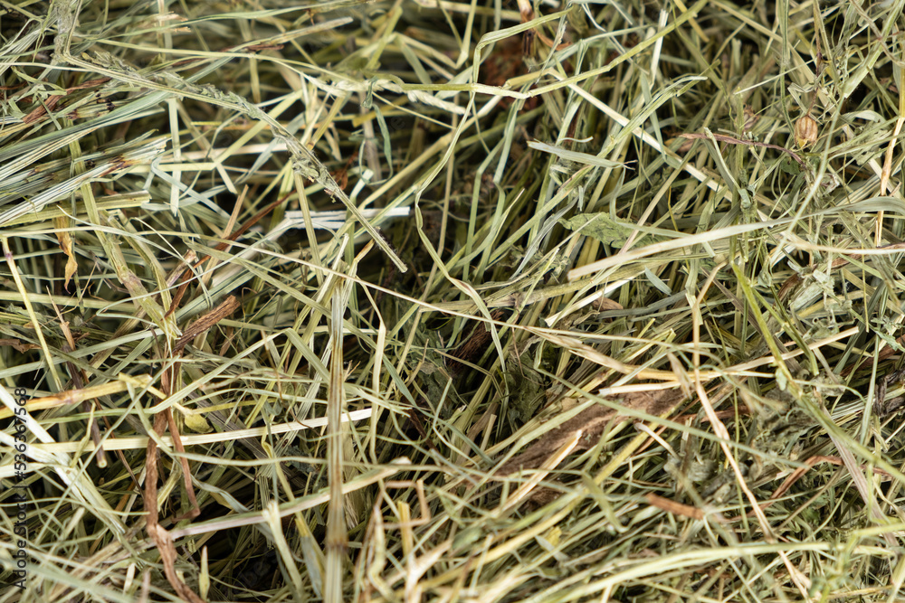 Hay from ecologically clean meadow grasses for feeding guinea pigs, hamsters and other rodents.