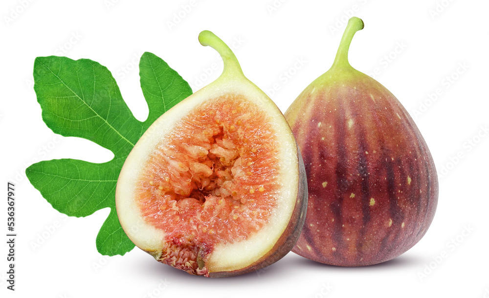 いちじく 無花果 イラスト リアル セット 