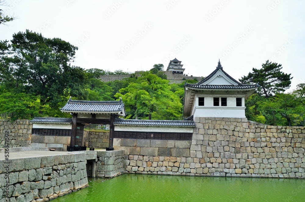 Obraz premium 丸亀城 天守閣と大手門